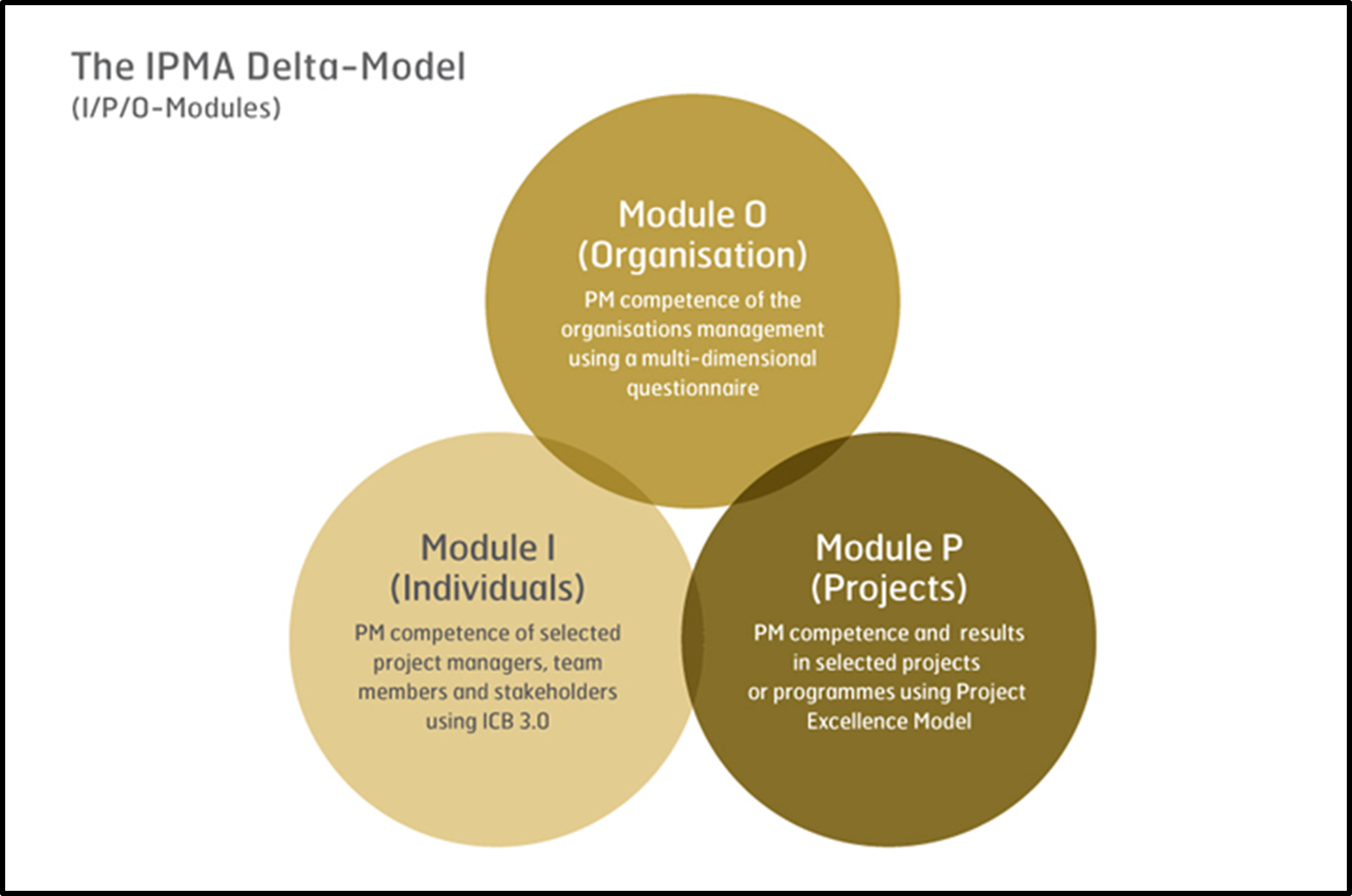 Project Management Maturity Model