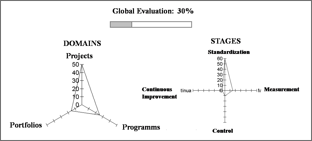 Project Management Maturity Model