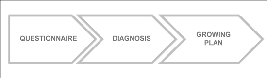 prado maturity model
