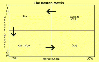 pm maturity for project categories