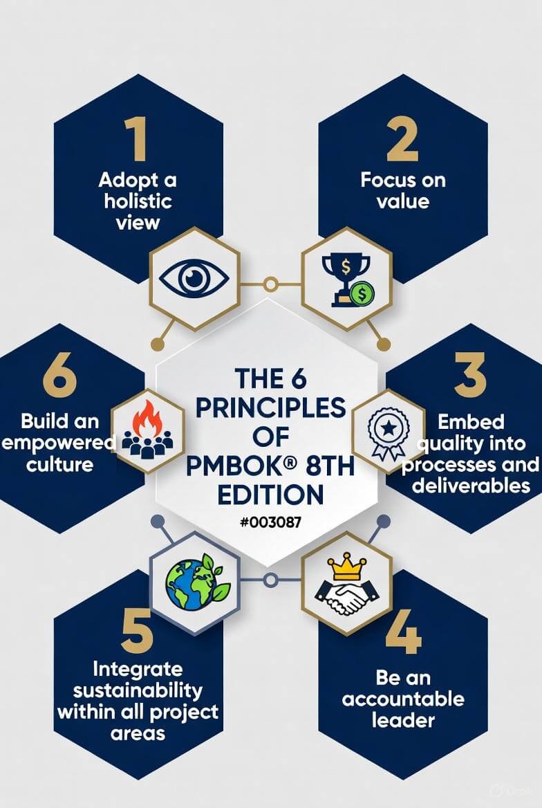 PMBOK 8 Principles