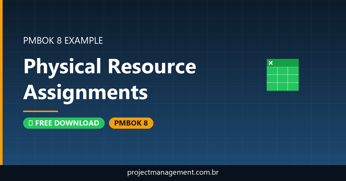 Physical/Virtual Resource Assignments Example — Website Launch Project — PMBOK 8 Example